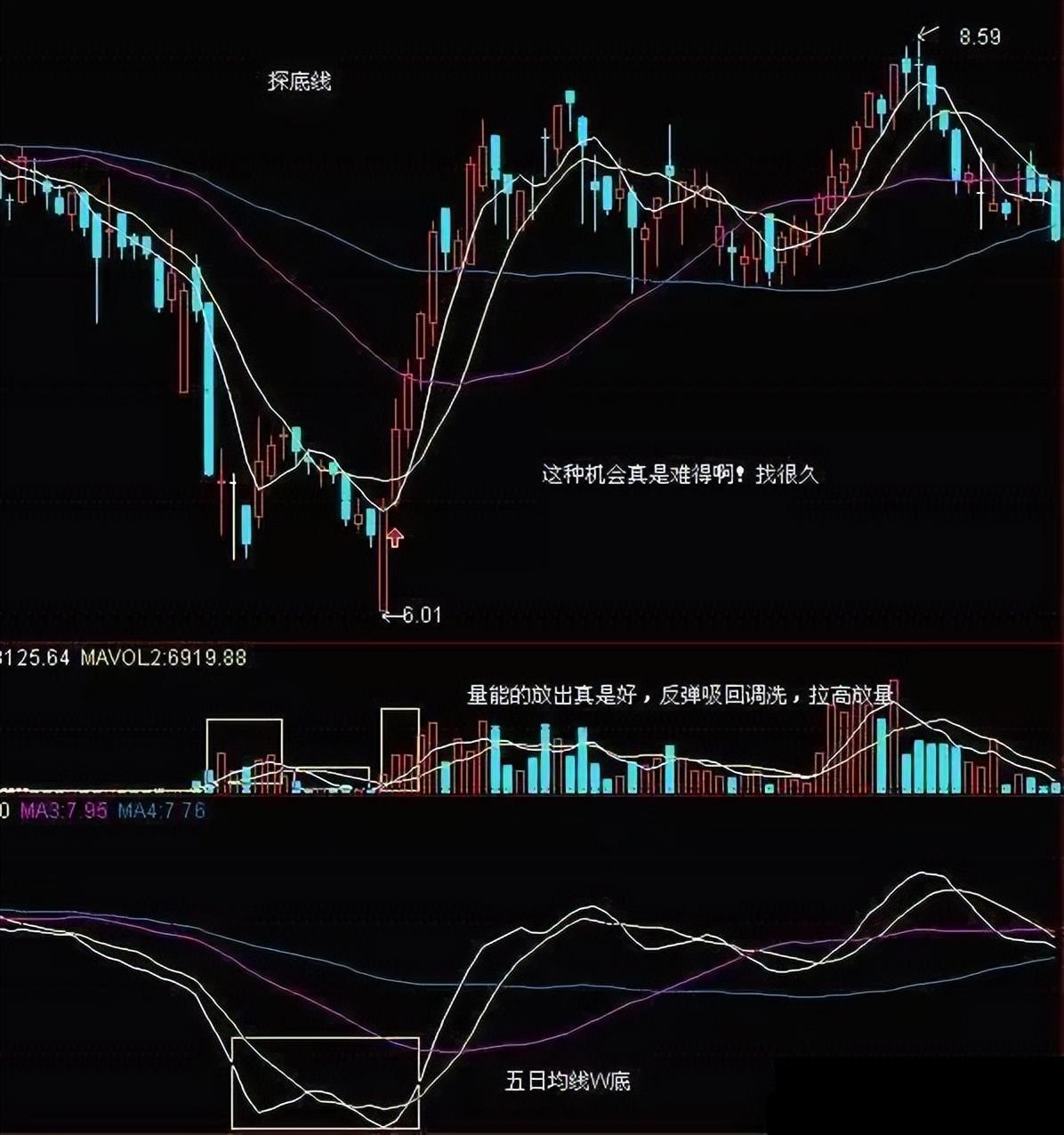 金年会app下载入口FTX冲破348美元大关，牛市是否已来临？的简单介绍